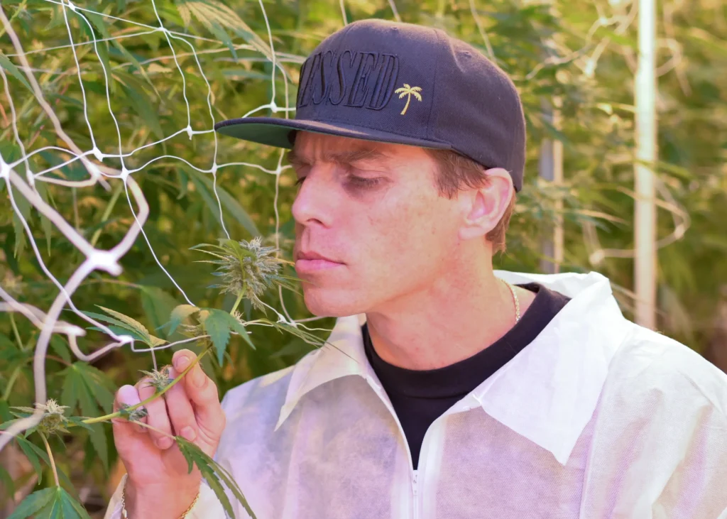 Mello Grower Tyler